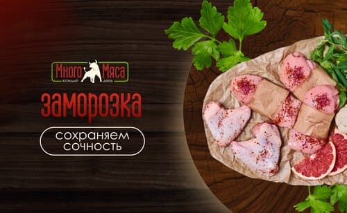 Иллюстрация к новости «🧊 Заморозка: сохраняем сочность»